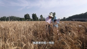97a8d150127f208b33539501fce3b6bca1d7bf88.jpg@280w_158h_1c_100q.jpg