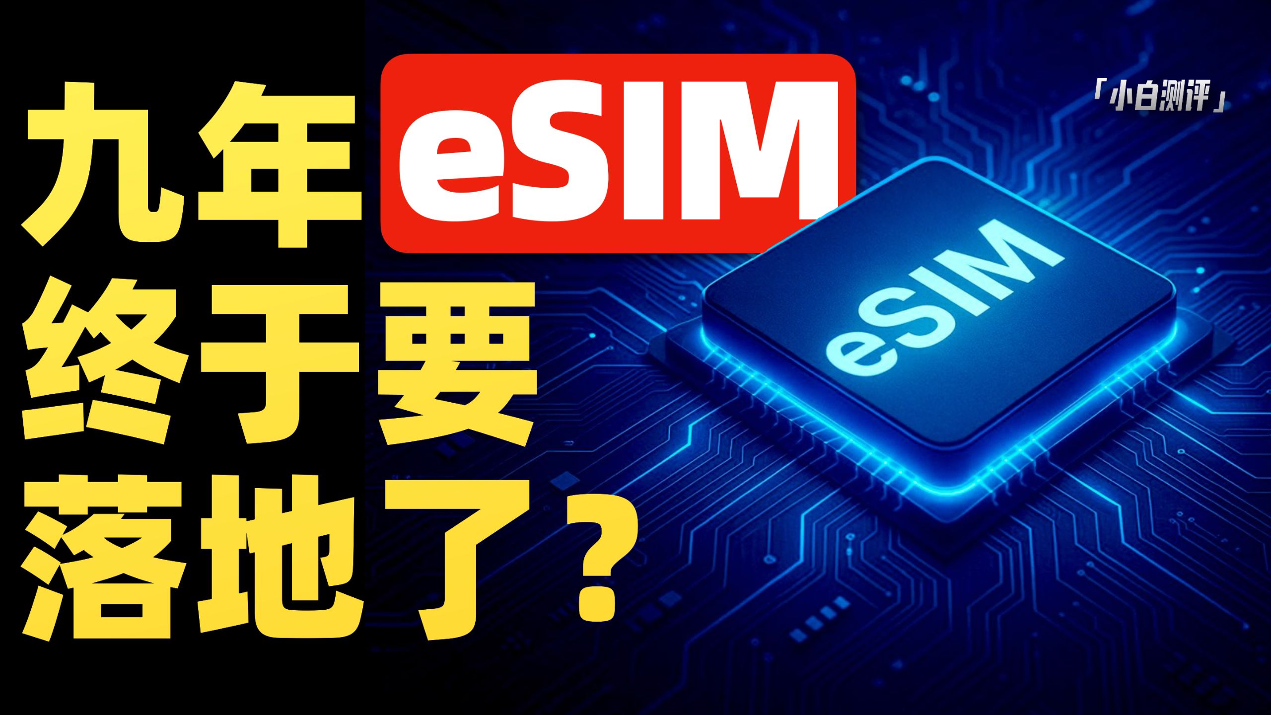 小白测评