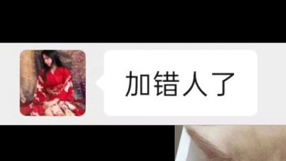 买块劳，我给你打折！x5