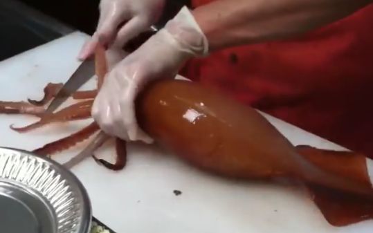 日本新鲜鱿鱼料理现场 还是活的