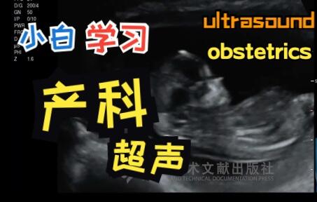 超声小白教程-产科胎儿超声扫查