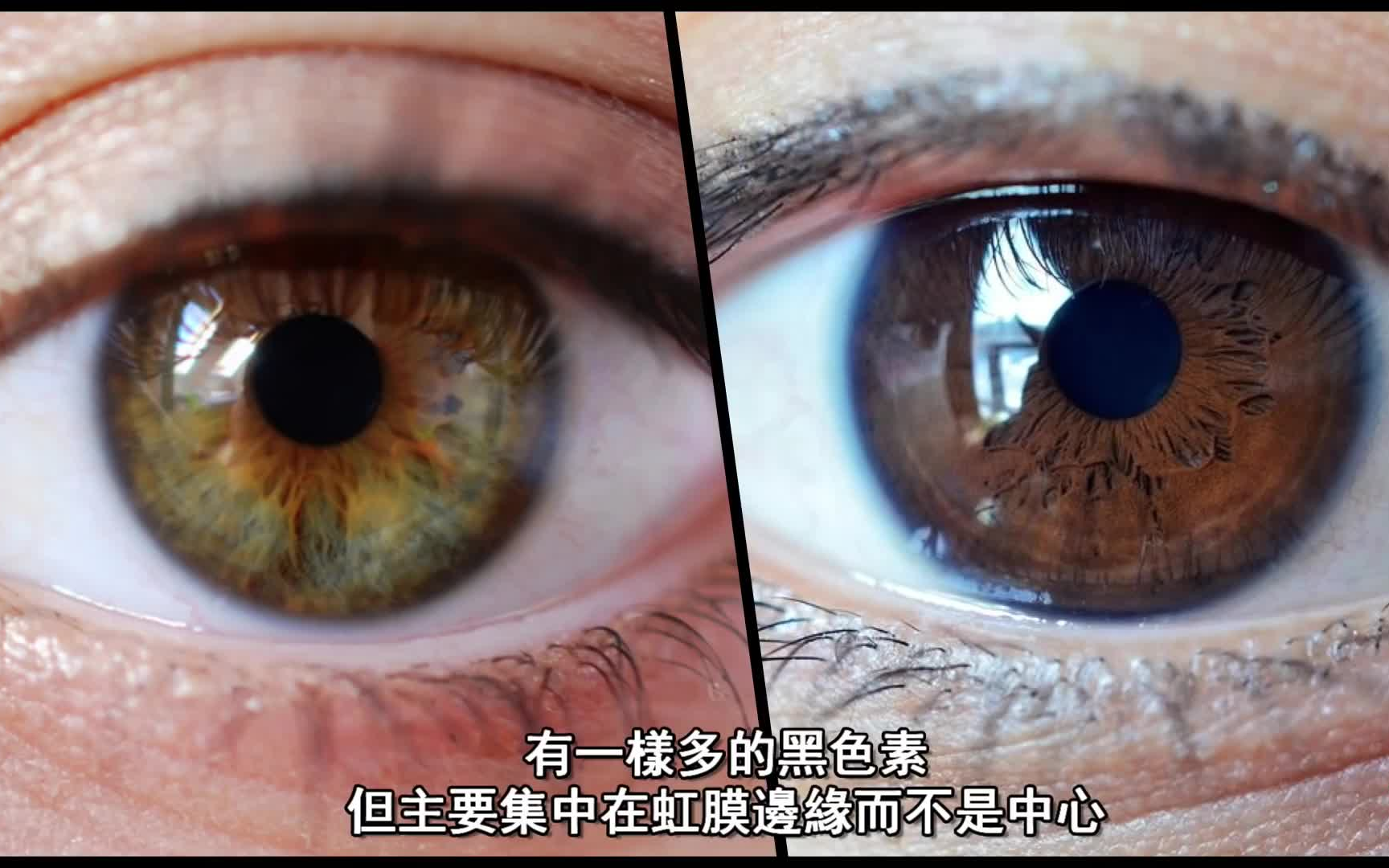 【搬运】 世界上最罕见的眼睛颜色！