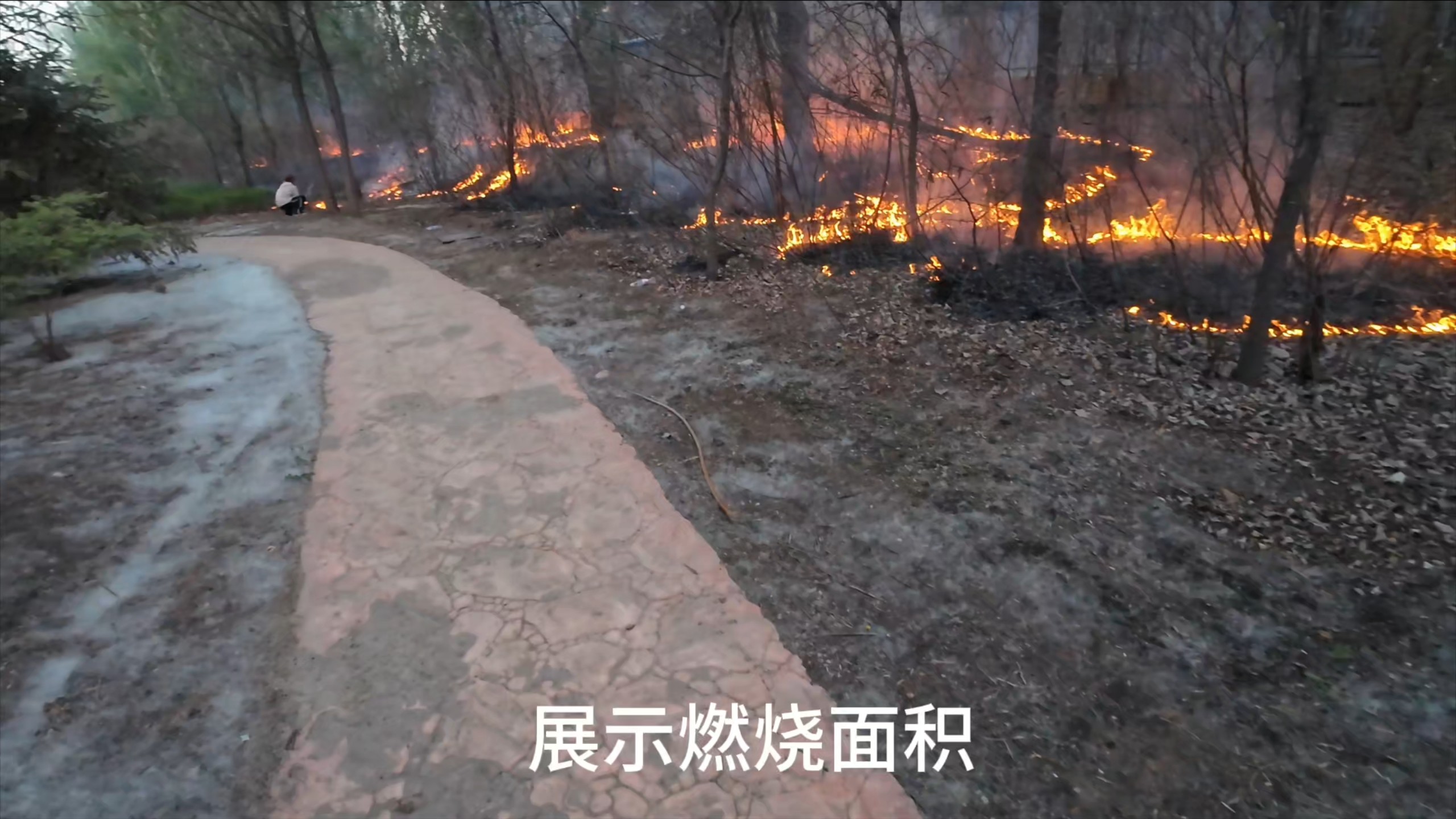 第一视角带你体验主播做的最正义的一集