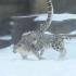 【雪豹】珠穆朗玛峰(雪豹的名字)和妈妈在雪地里尽情玩耍~