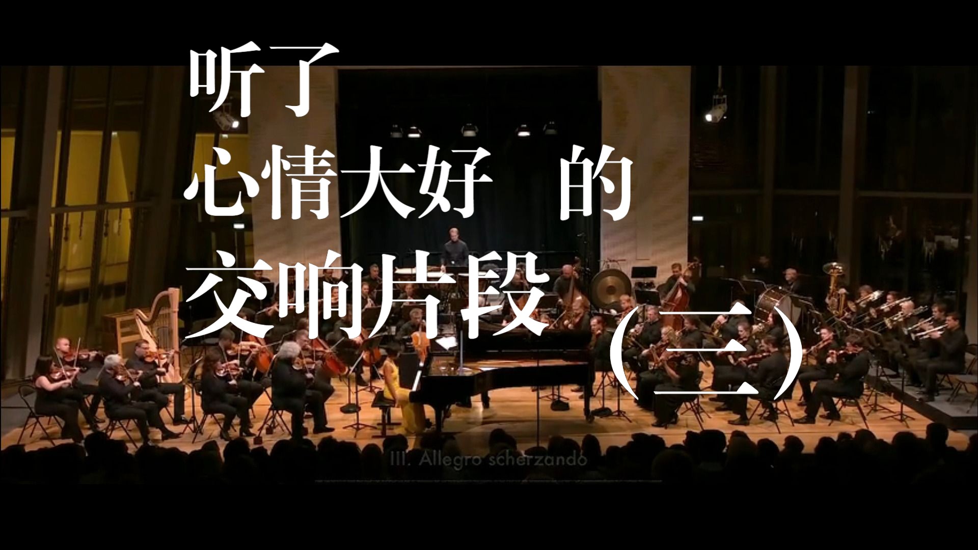 【大提琴】《LA LA LAND》交响乐演奏现场顶级享受的音乐盛宴鸟桥器乐哔哩哔哩视频