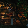 广州大学城半夜超绝amsr