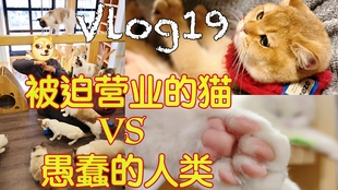 9816330d871bf7ea23d948d7fc5e792feed9edd5.jpg@310w_174h_1c_100q.jpg