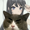 《青春猪头少年不会梦见兔女郎学姐》一口气看完
