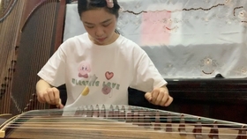 古筝河塘月色曲谱_荷塘月色古筝曲谱(2)