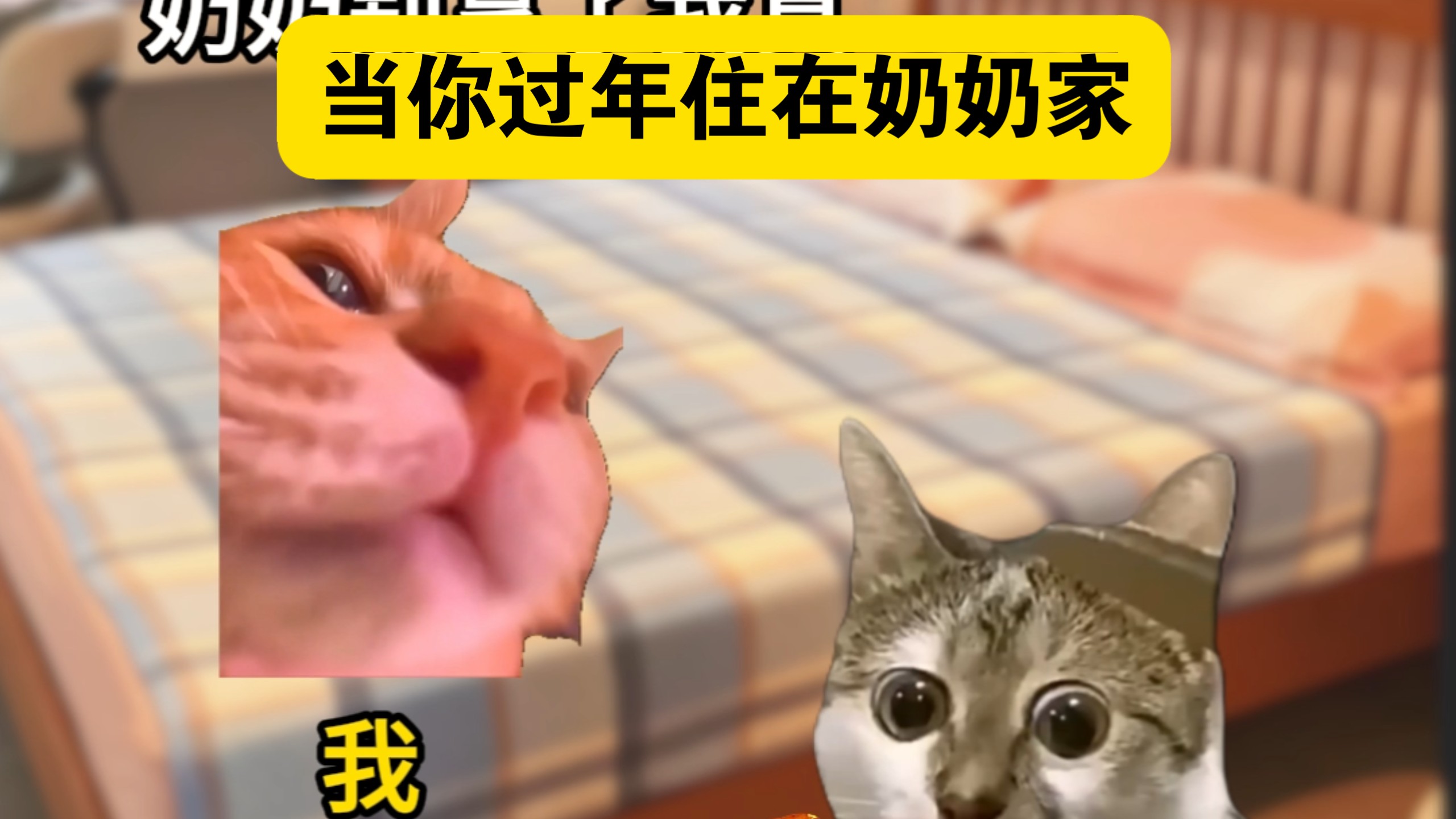 当你过年住在奶奶家