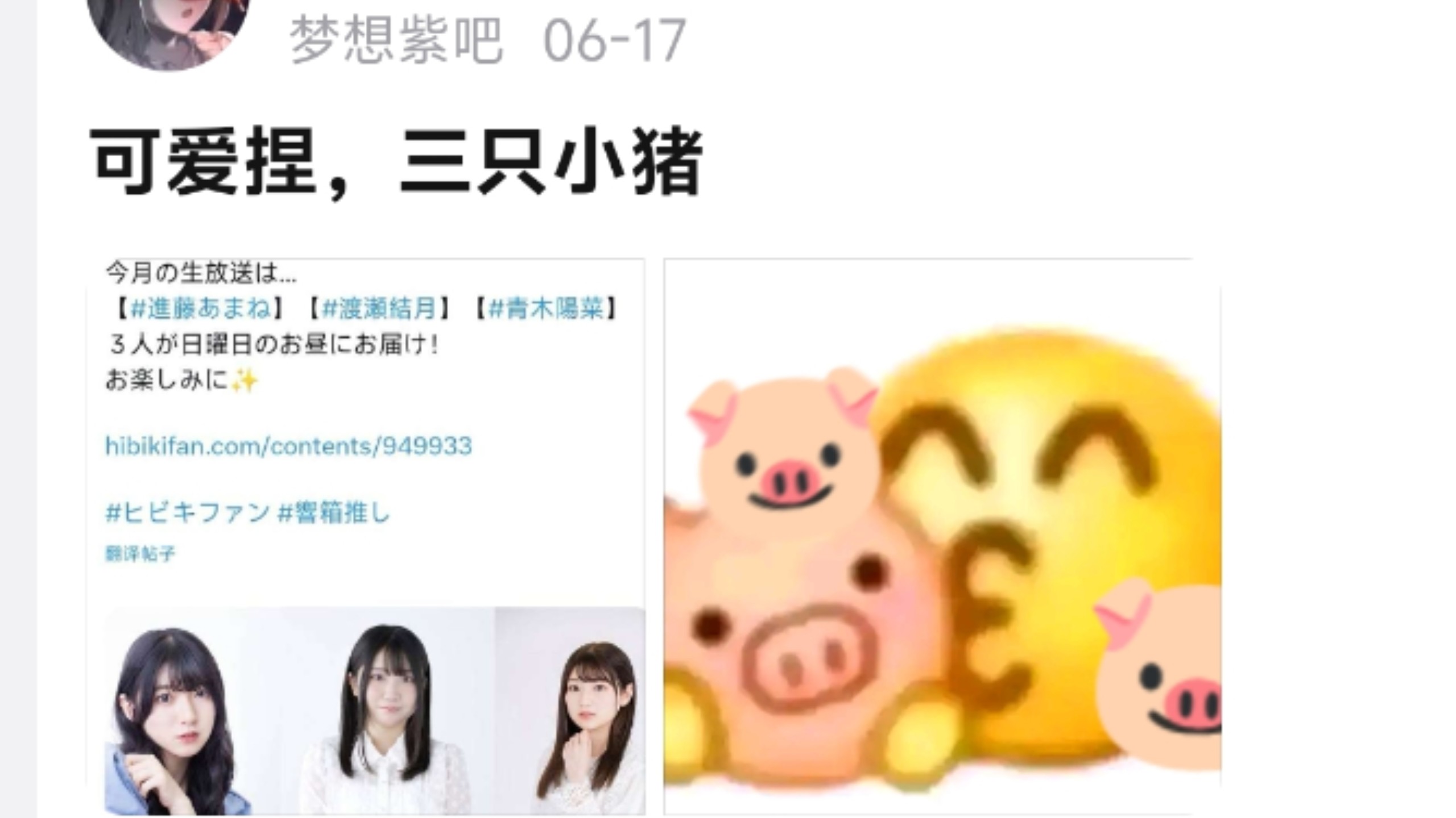 可爱捏，三只小猪