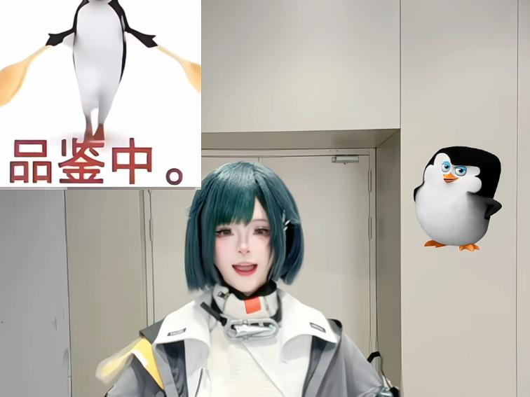 品鉴下企鹅的企鹅舞