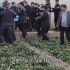 河北邯郸三名初中生霸凌同学致其死亡，尸体掩埋蔬菜大棚！