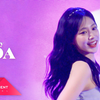 【Zoa】240912 Weeekly美巡纽约Hello个人直拍