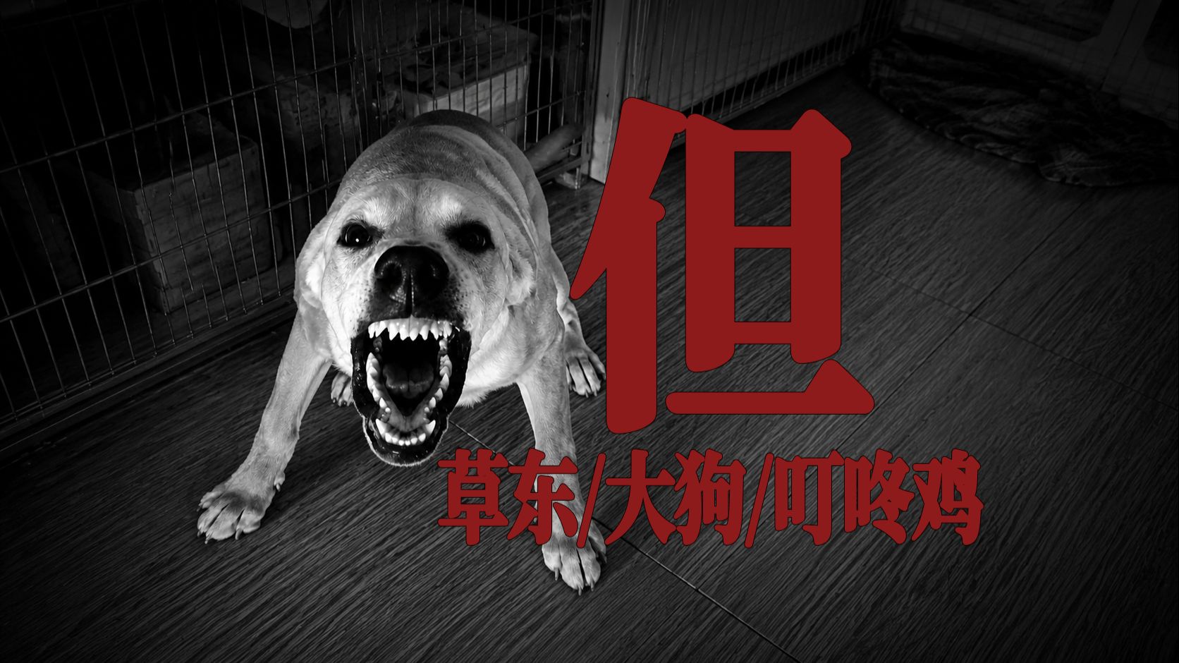 🐶你说你不想大狗叫，我也不想大狗叫🐶《但》