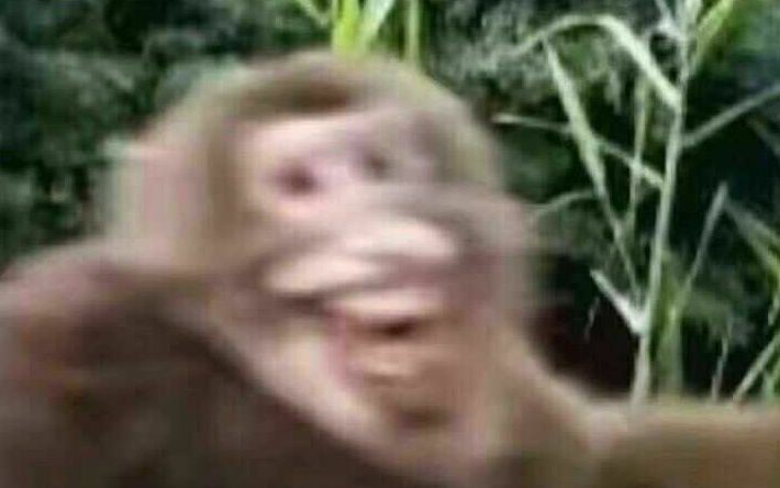 秦腔斩韩信全本