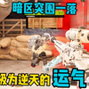 运气好随便赢