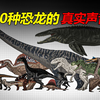 20种恐龙的真实叫声，霸王龙的声音，超出你的想象