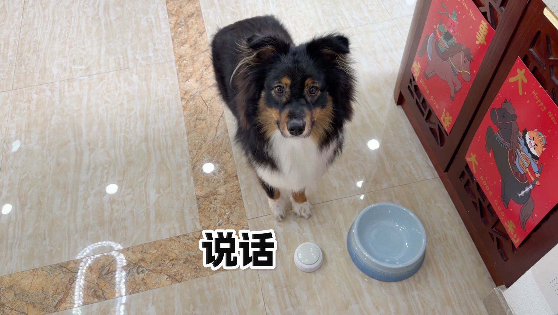 今天让西米露演一期