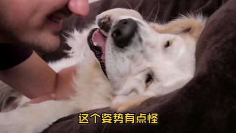 98e553d90bb98eb5175eff40a4bab099fb71b435.jpg@480w_270h_1c