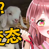 日本萝莉女仆看《 啊 咧？有 变 态 ！》你们也是变态