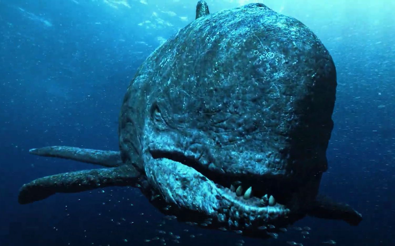 【深海恐惧症】新生代最强的两大海怪，巨齿鲨与利维坦鲸