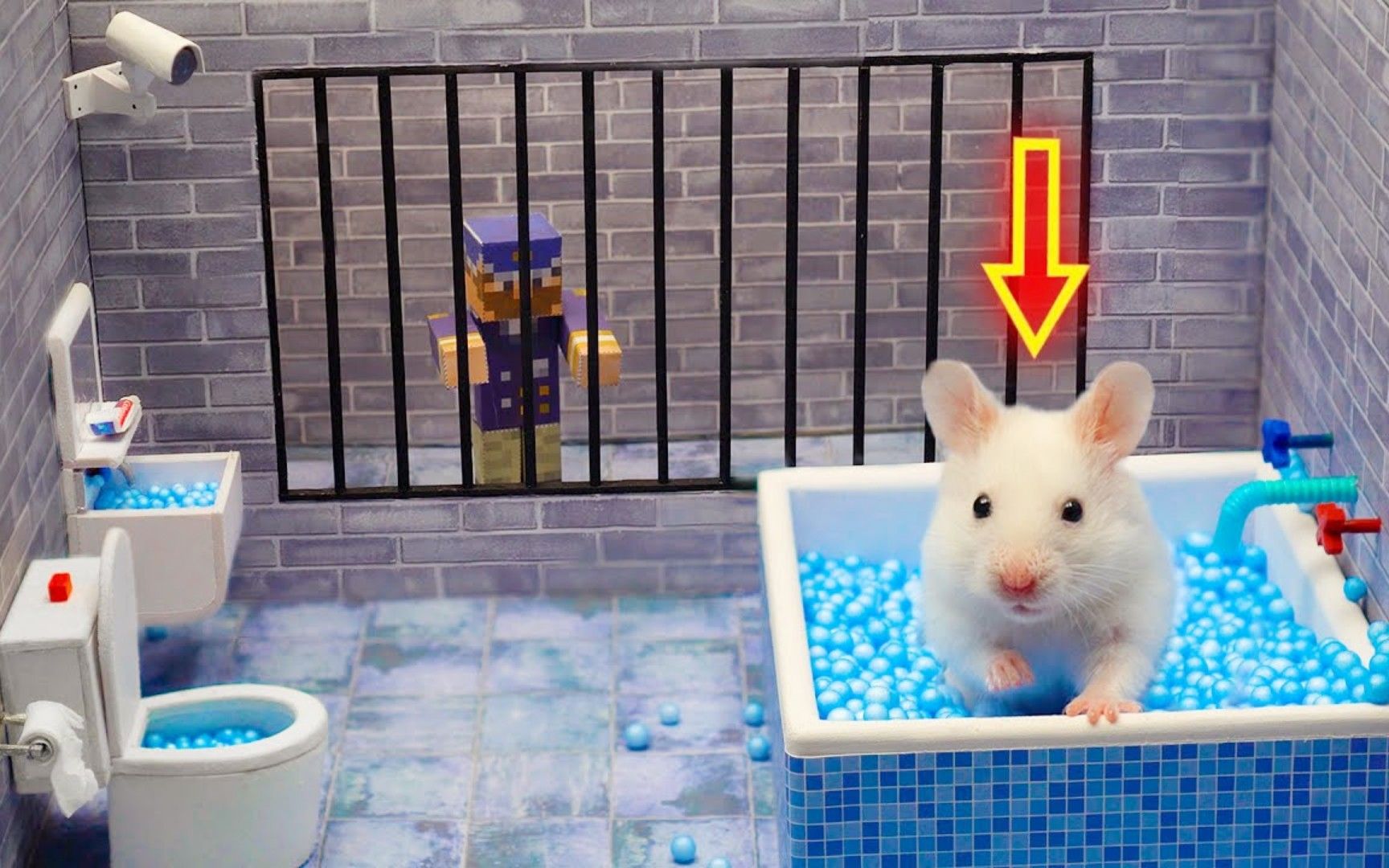 小仓鼠历险记：挑战全网最豪华的监狱迷宫，浴缸会是最后出口吗？