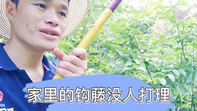 什么叫做谈感情 991ac647dc06a1f4a5900e966632eceb997d8634.jpg@280w_158h_1c_100q.jpg