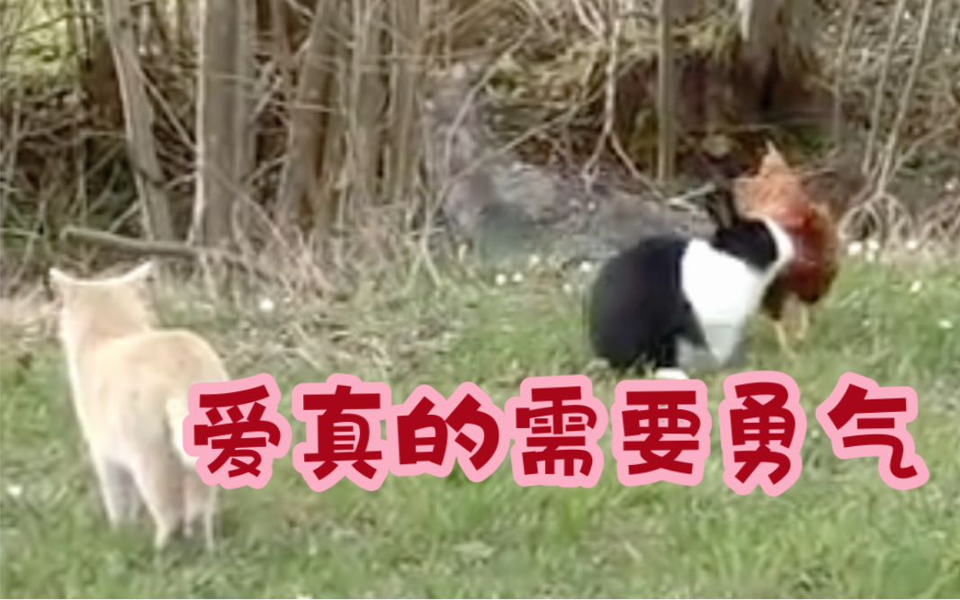 爱爱真的需要勇气