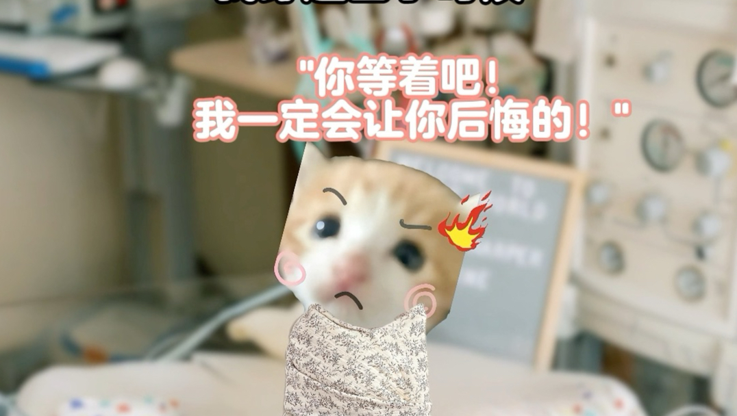 当你的恋人突然向你提出分手