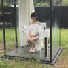日本全透明玻璃公共厕所，只有女性才能使用，看完真是大开眼界