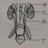 【点赞破91乱写暑假作业】后续来啦