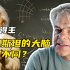 智力水平的基础是什么？先天遗传还是后天环境？【爱德华莫泽