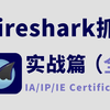 保姆级Wireshark抓包教程，网络工程师手把手教你从下载安装到使用实战抓包（网络安全丨抓包教程丨数据通信丨路由交换