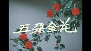 经典老<em class="keyword">电影</em>系列  <em class="keyword">五朵金花</em> 1959年 长春<em class="keyword">电影</em>制片厂出品，王家乙执导 杨丽坤、王苏娅、朱一锦、谭尧中等人主演 歌舞<em class="keyword">电影</em>