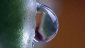 9998f1772d8d12f996fdfd7516ee37683939ca2b.jpg@280w_158h_1c_100q.jpg