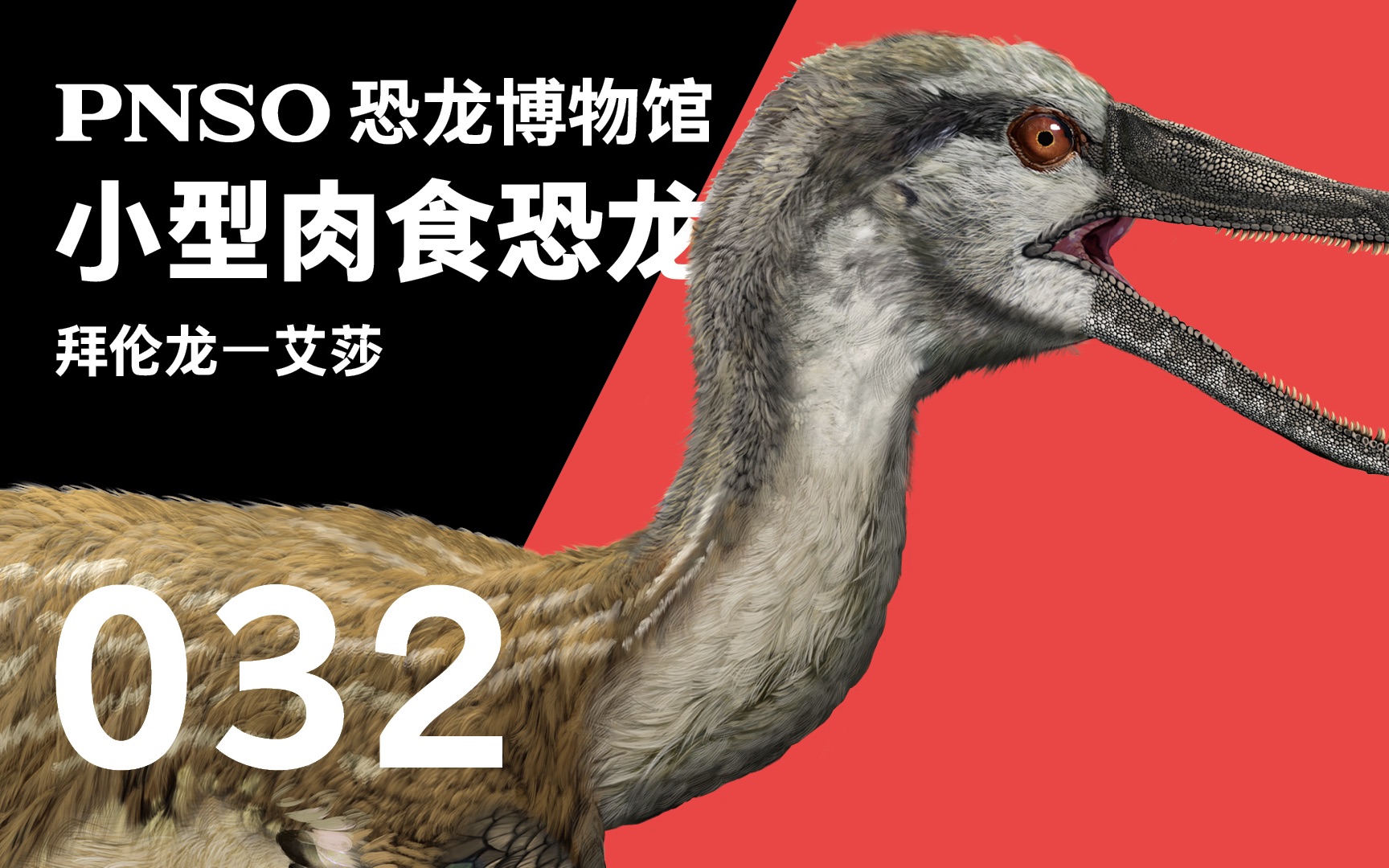 pnso恐龙博物馆三分钟带你认识一种恐龙拜伦龙艾莎