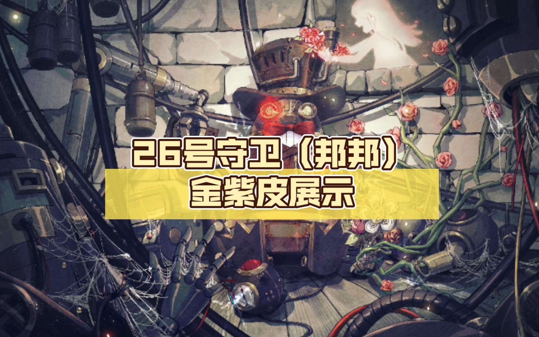 26号守卫(邦邦)金紫皮展示