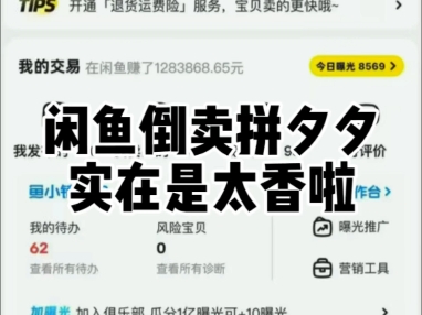 闲鱼倒卖拼夕夕实在是太香啦