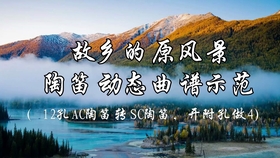 陶笛初学者入门曲谱_陶笛入门曲谱(3)