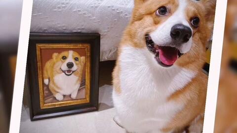 9a3c3f11f384dafe3b8946365f1e50c45d969013.jpg@480w_270h_1c