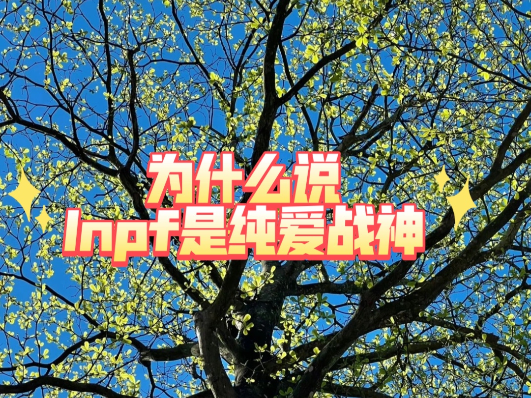 为什么说小蝴蝶infp是纯爱战神?哔哩哔哩bilibili