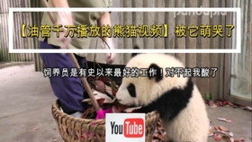 9a45bd0a8654c250d287a0a5829ef2b17c8021a3.jpg@280w_158h_1c_100q.jpg