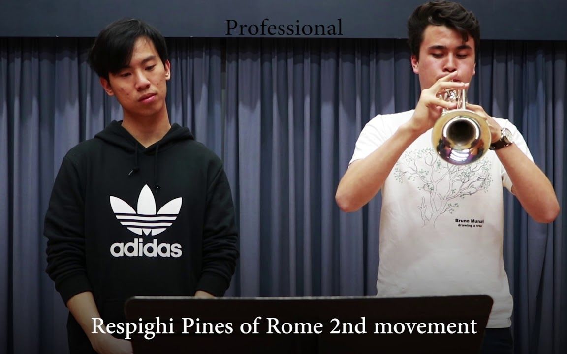 专业小号手 vs 初学者（耳机党提前预警）