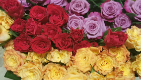 9a84224644b48058196b34dd3744d9436d777105.png@280w_158h_1c_100q.jpg
