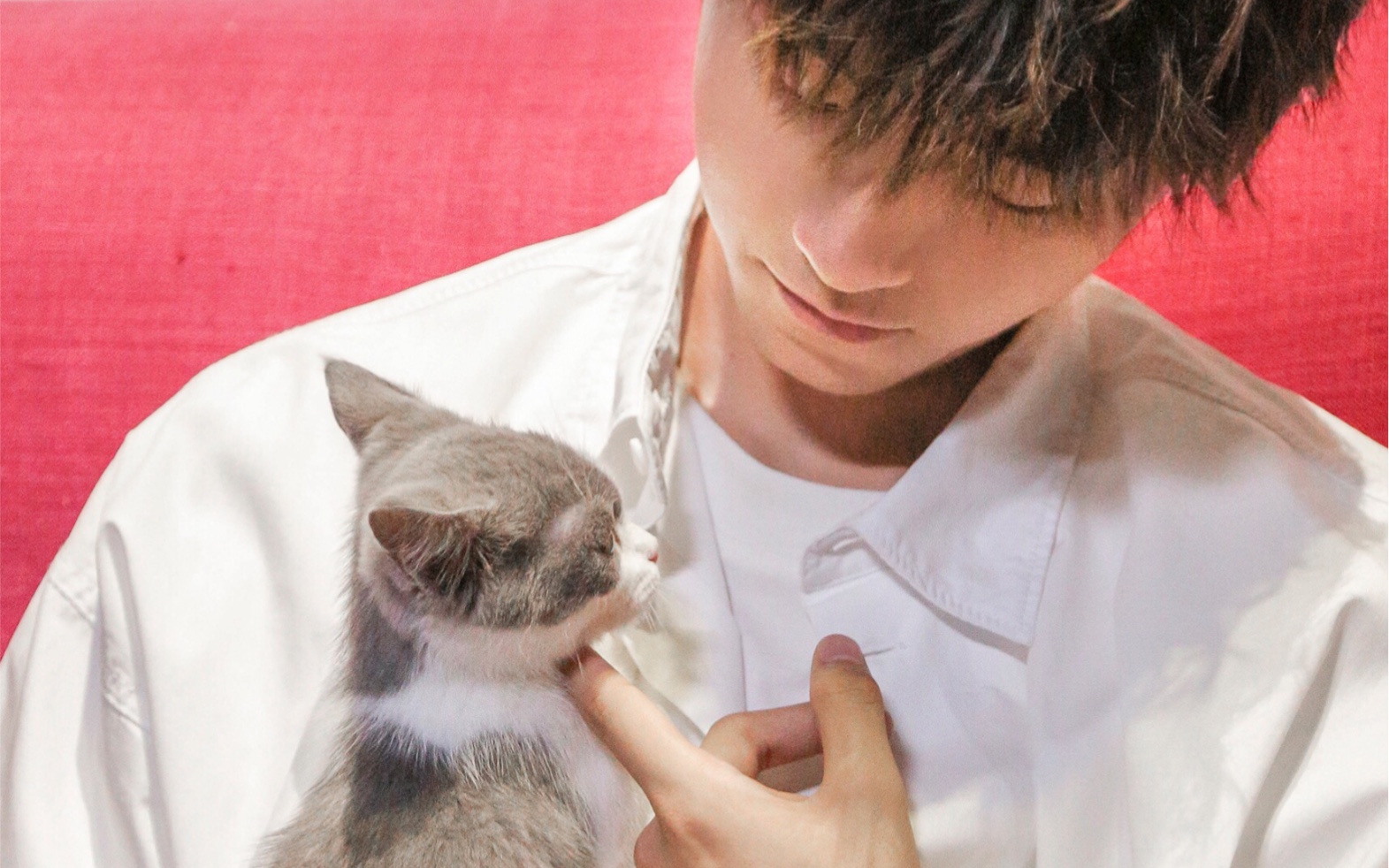 王俊凯与猫，猫系少年的逗猫日常_文/源凯