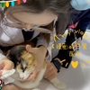 【摸鱼的日常】被抓住叻