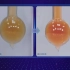 全新高清高中化学实验——二氧化氮球浸泡在冰水和热水中实验
