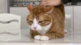 9ad587e7de25c36d00bd41f6092648cf2162c9ac.jpg@280w_158h_1c_100q.jpg