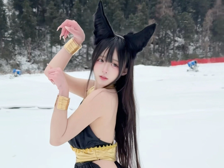 雪地里见到一只野生的狐狸